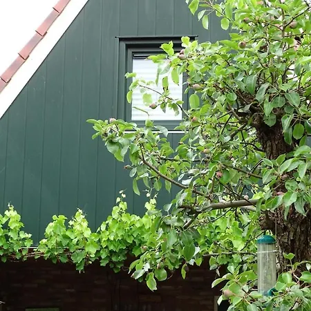 Westeindelijk Bed & Breakfast De Rijp